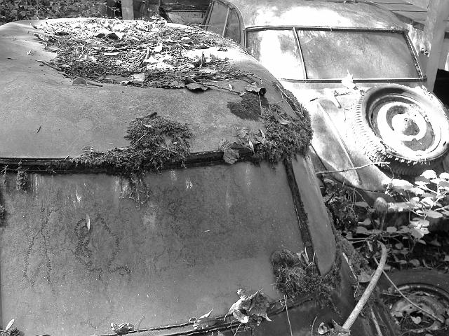 Autofriedhof - 073.JPG - Historischer Autofriedhof,    Gürbetal (CH)